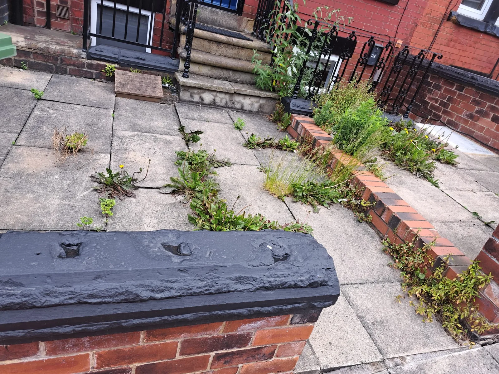 Path before pressure washing in North Leeds
